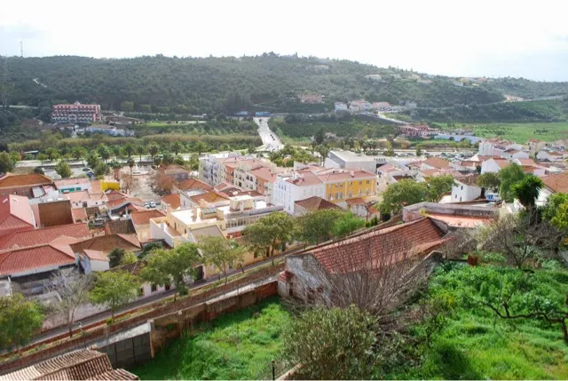 The small town center of Selvis....
