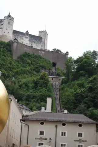 Fortress....going up