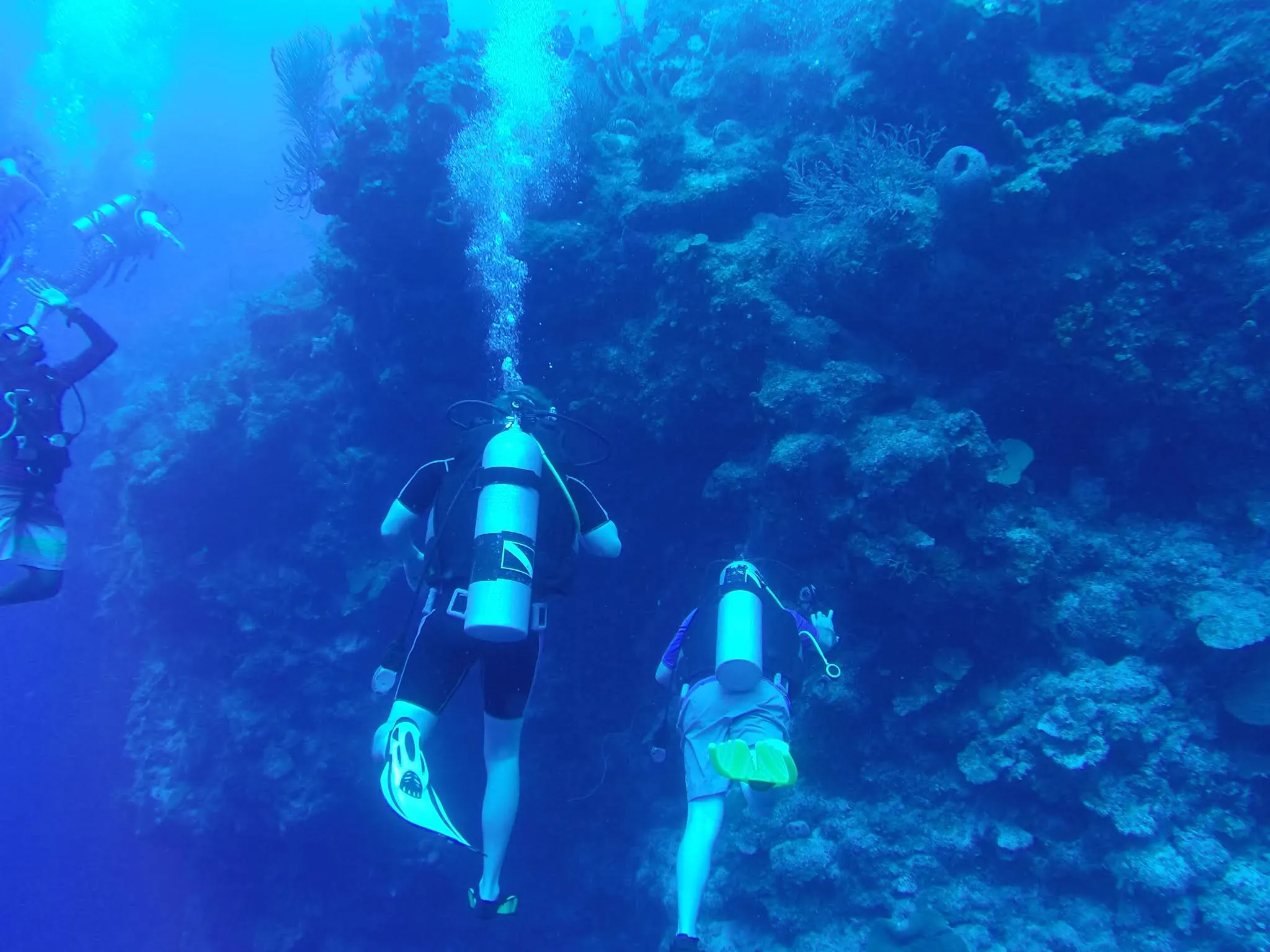 The scuba dive adventure. Look closel, you'll see a great white shark....(Jeff).