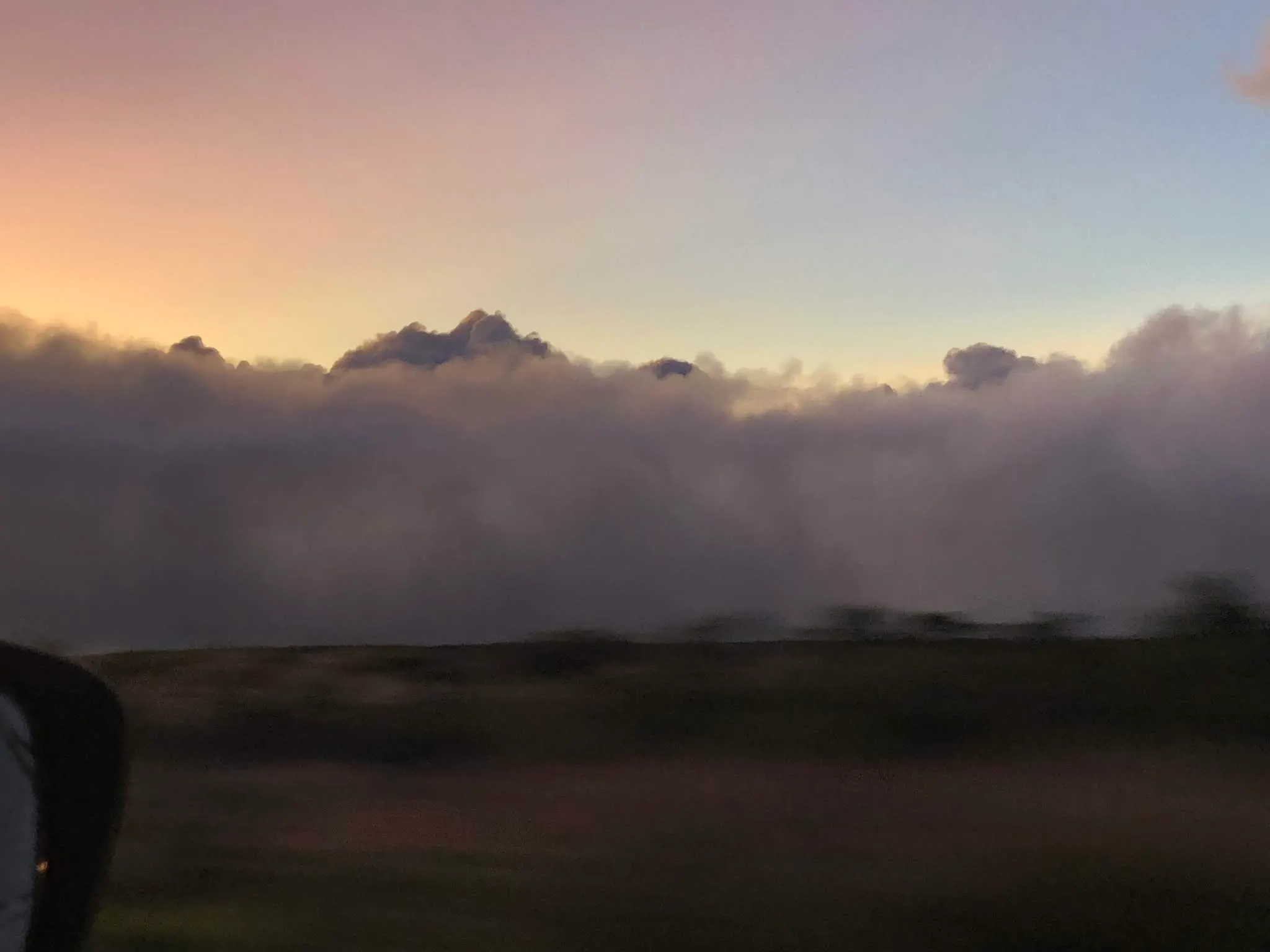 Driving through the clouds on the saddle road back to Kona from Hilo.