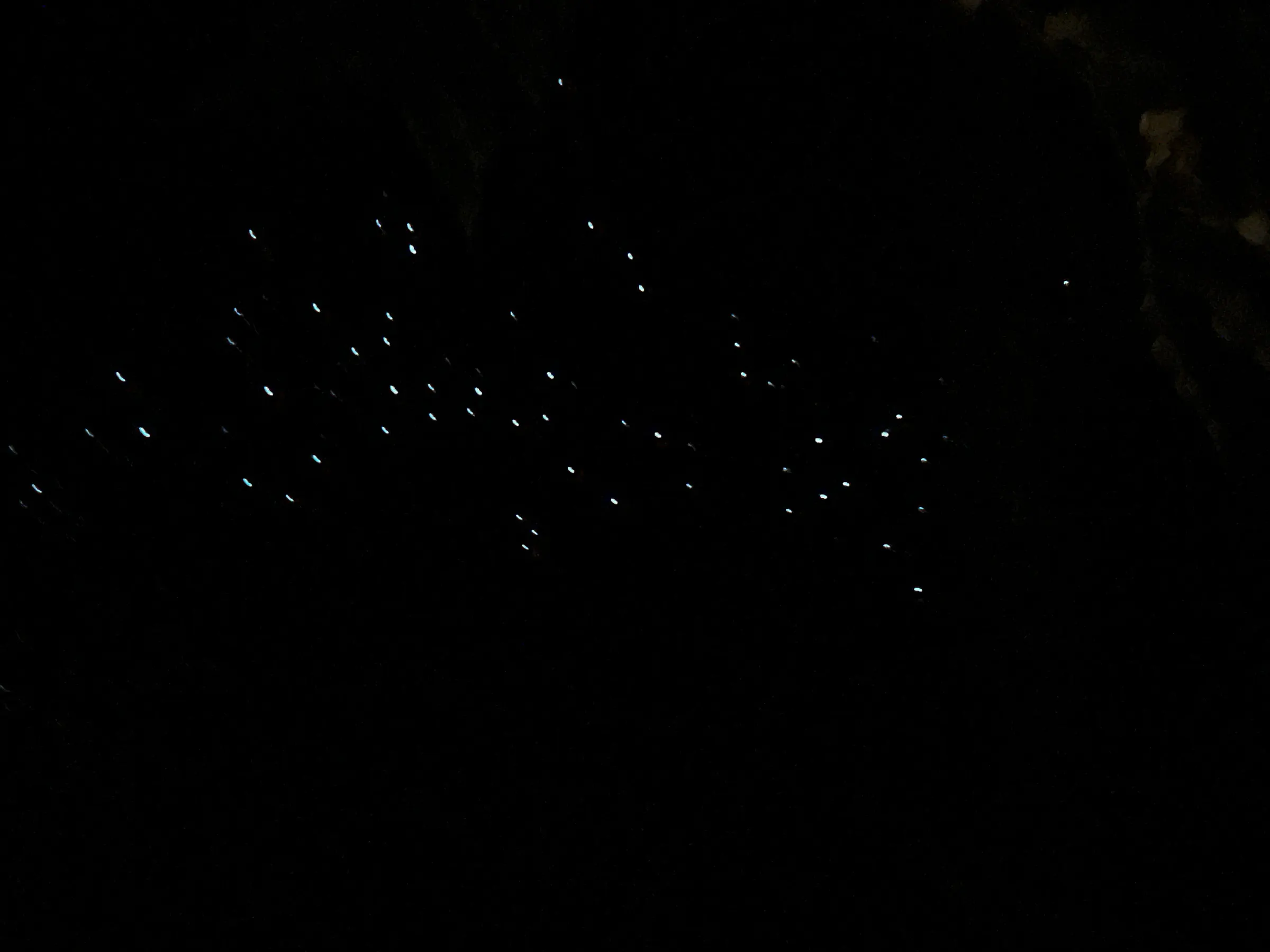 Glow worms….