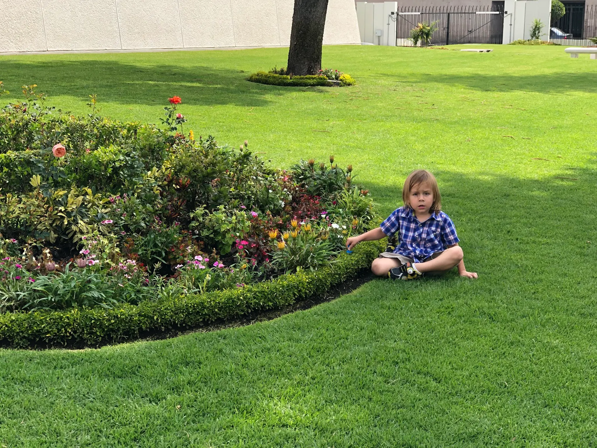 Lorenzo doing some gardening on the temple grounds....