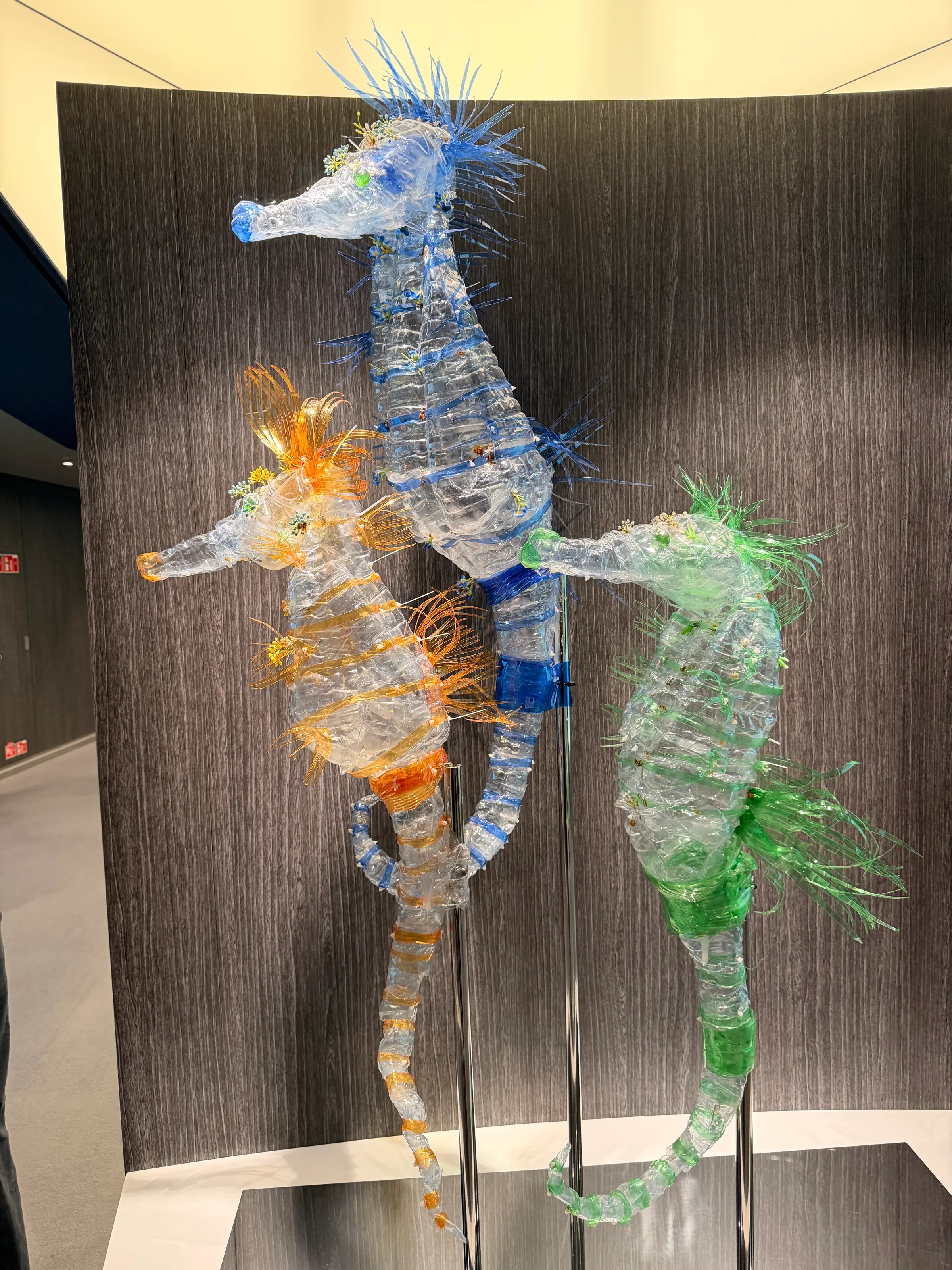 They have sculptures made from plastic bottles retrieved from the sea.
