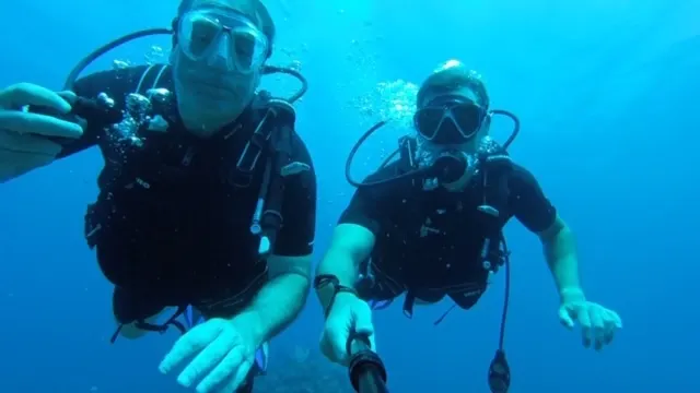Who needs a regulator anyway!!!
