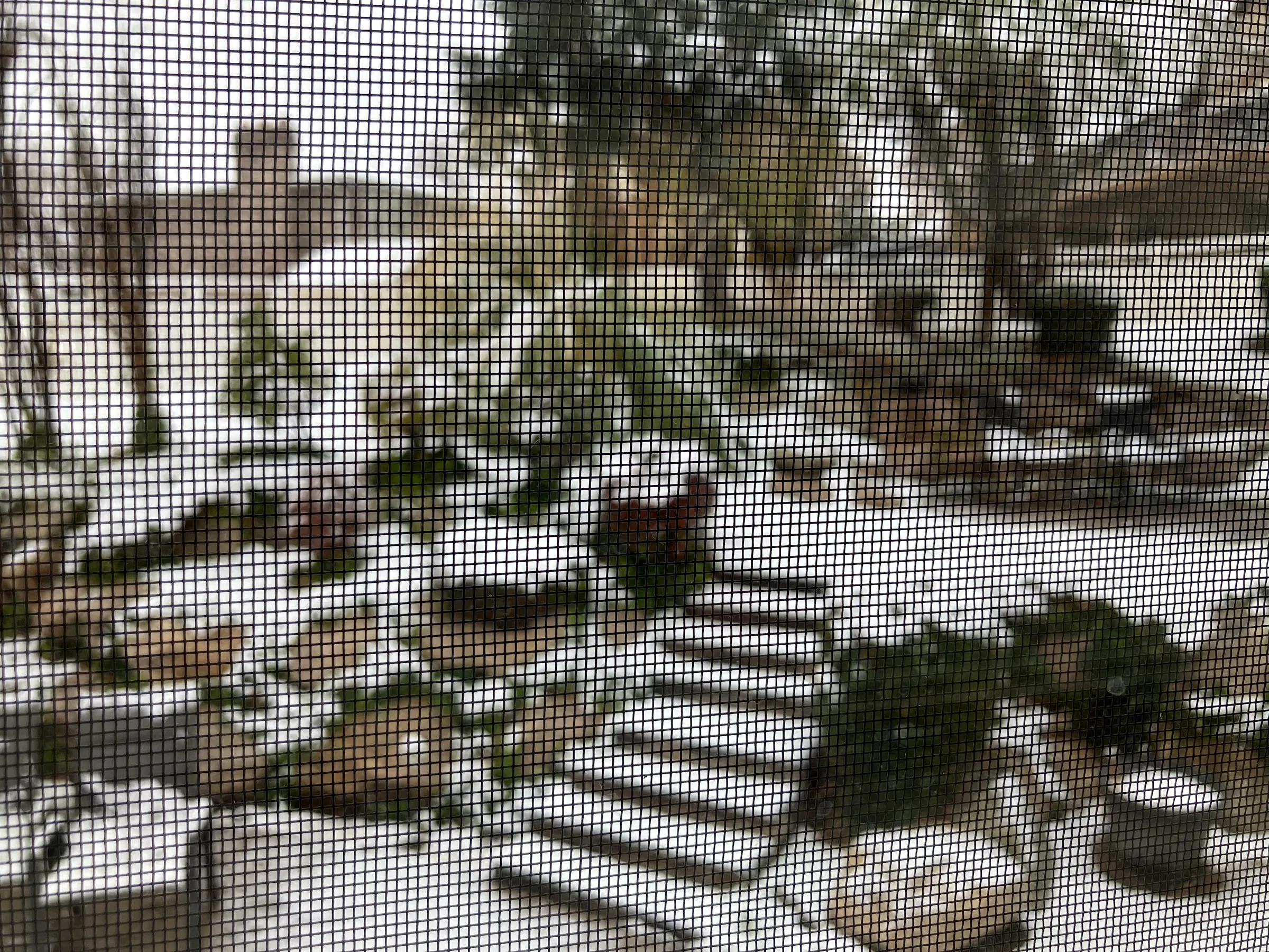 This is what we left in SLC taken through my window screens.