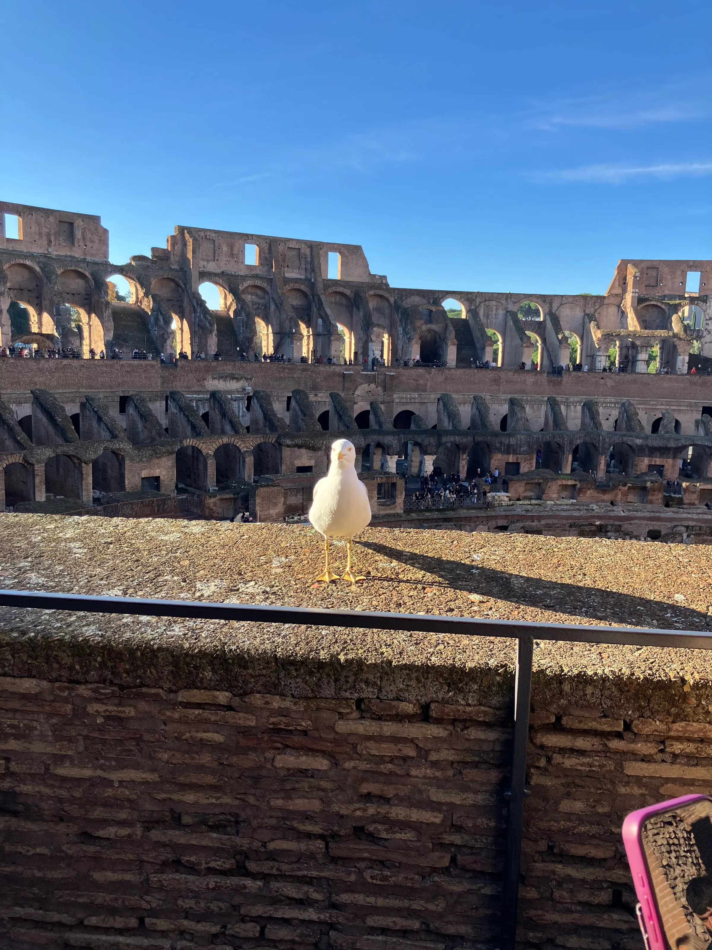 This guy showed up and just stared at tourists for the longest time.