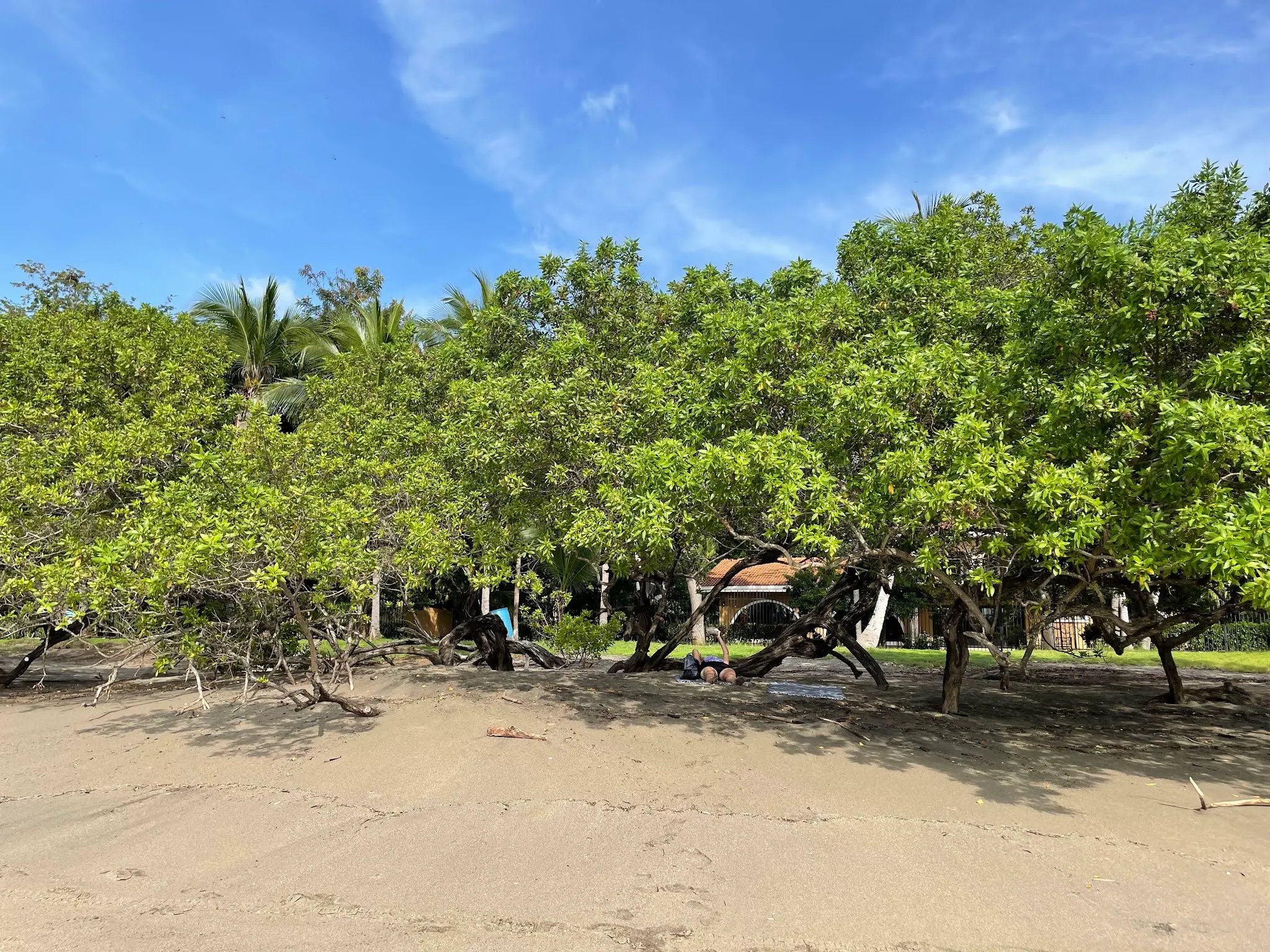 Looking at our place under the trees from the ocean edge….at Playa Hermosa.