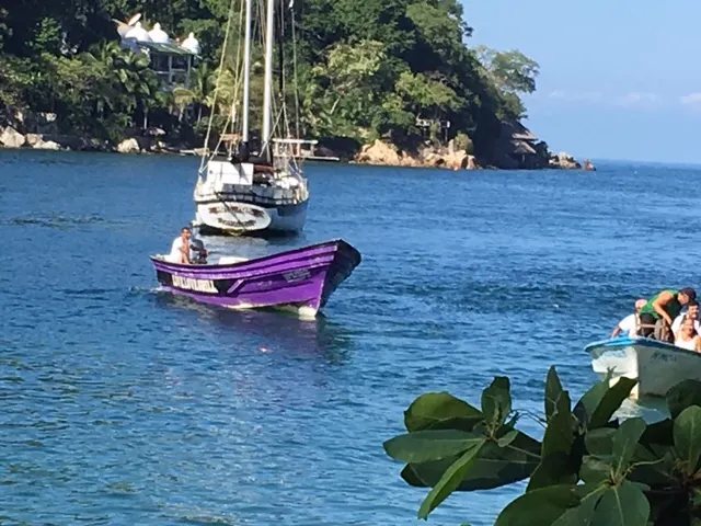 Our purple water taxi cometh.....