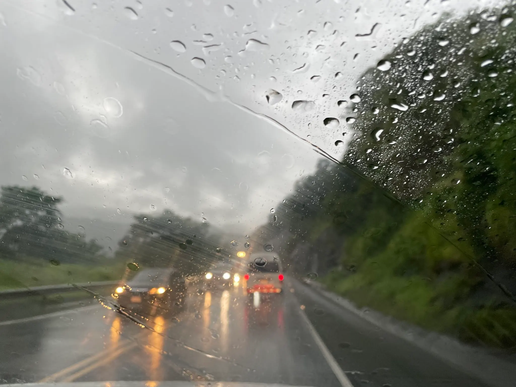 An example on what I saw driving as we headed to the pacific coast. It rained hard most of the way there…about 1.5 hours. But once on the coast here, it has not been too bad.