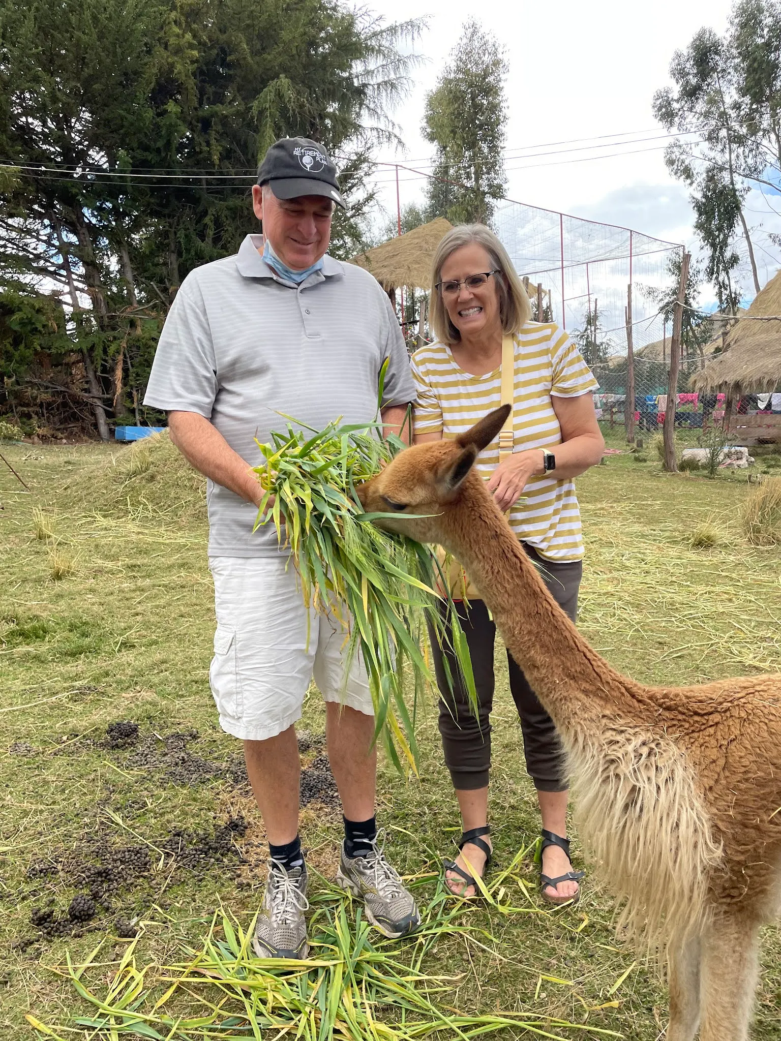 Giving a Vincua something to eat…..