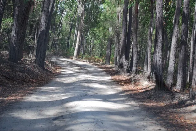 More of the road going into Secret Beach...