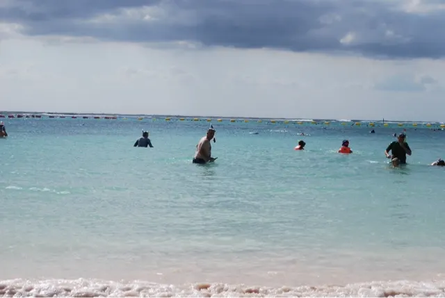 Snorkeling with turtles at Akumal....