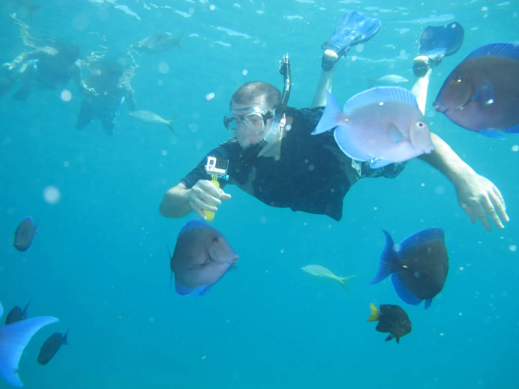 Some snorkeling shots....